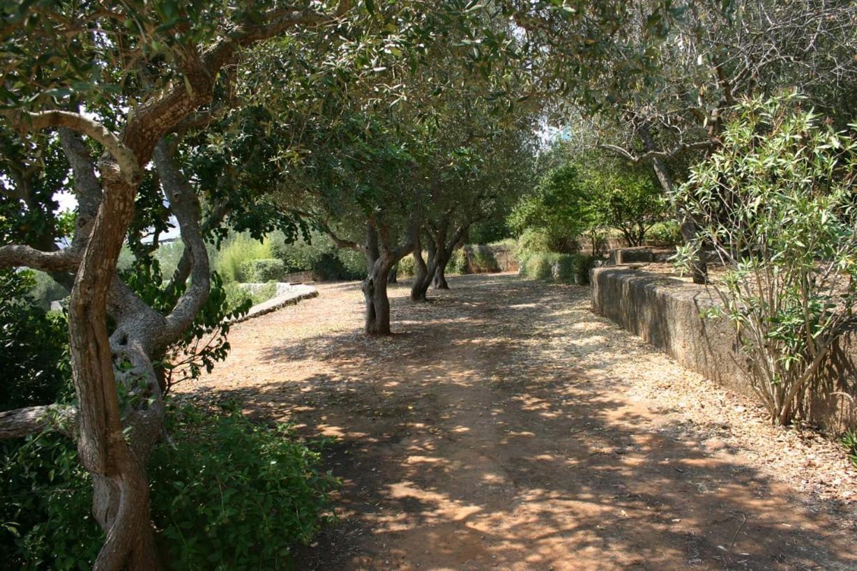 Appartamento In Villa Fortunata Terra マリーナ・セッラ エクステリア 写真